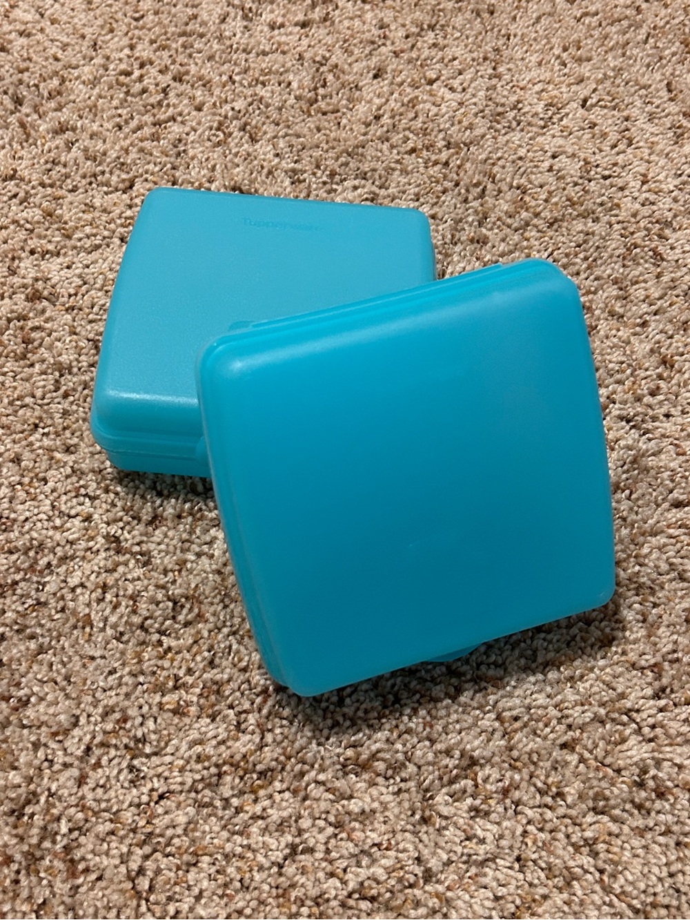 Tupperware Sandwich Keeper - Set of 2 - Picture 6 of 7
